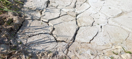 The ground is cracked and dry, revealing a pattern of fissures formed by the lack of moisture. Grass and small plants struggle to survive in this harsh environment.の写真素材