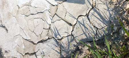 Cracked dried earth reveals the harsh effects of drought in a barren landscape. The parched ground is surrounded by sparse greenery, emphasizing the desolation.の写真素材