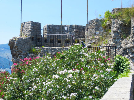 Visitors admire the ancient Kanli Kula Fortress in Herceg Novi, Montenegro, where colorful flowers flourish under a bright sky in the Bay of Kotor.の写真素材