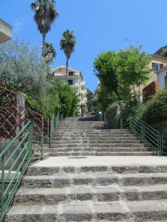 Stairs ascend through Herceg Novi, surrounded by lush greenery and palm trees, creating a serene environment in the heart of the Bay of Kotor, Montenegro.の写真素材