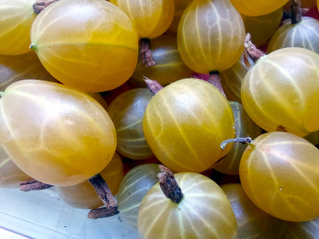 A vibrant collection of fresh gooseberry berries fills a box, showing their translucent yellow skin and intricate texture during a summer market day.の写真素材