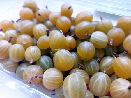 A collection of ripe gooseberry berries is arranged in a transparent container, showing off their vibrant colors and unique textures.の写真素材