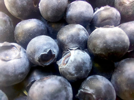 Dark blueberries rest closely in a pile, showing their vibrant color and fine details of their...