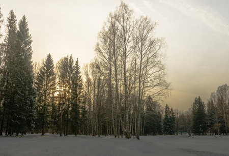 Winter landscape in the vicinity of St. Petersburgの写真素材