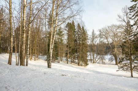 Winter landscape in the vicinity of St. Petersburgの写真素材