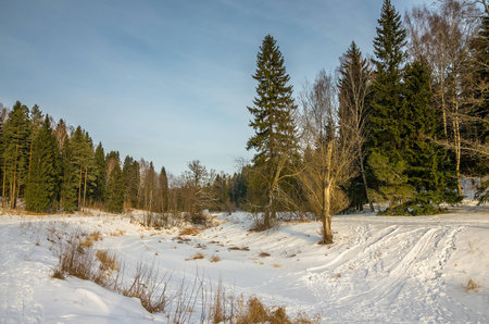 Frozen river in the winter snow-covered park.の写真素材