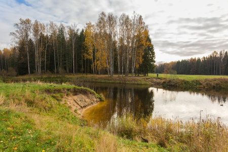 Nature of Leningrad region of Russia with the yellow leaves on the trees, falling leaves and reflections on the water surface.の写真素材