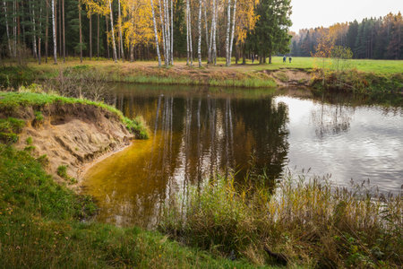 Nature of Leningrad region of Russia with the yellow leaves on the trees, falling leaves and reflections on the water surface.の写真素材