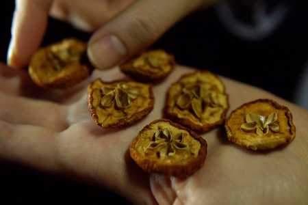 Close-up of a human hand with a handful of round pieces of dry apple in the palm of a hand against a black background, unrecognizable person.の写真素材