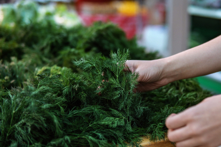 Close up hands hold bunch of fennel, human chooses and buys green dill in supermarket in fresh food department.の写真素材