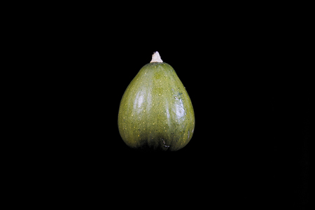 Close-up of one small green ripe pumpkin on black background, place for text.Concept of harvesting and preparing for Halloween.の写真素材