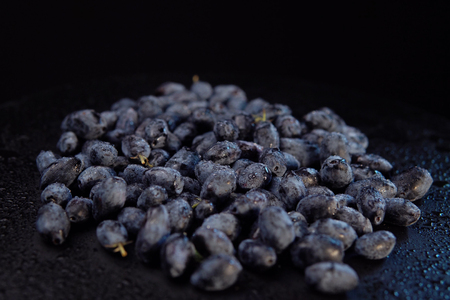 Dark ripe honeysuckle berries with droplets of water on against black background, place for text. Concept of healthy and proper nutrition.の写真素材