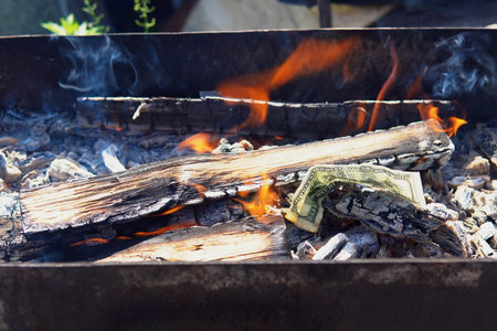 paper hundred-dollar bill burns with the firewood