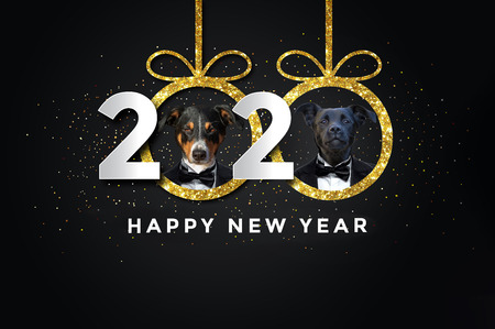 Happy new year 2020 with two Dogs Happy new year 2020 with two Dogs