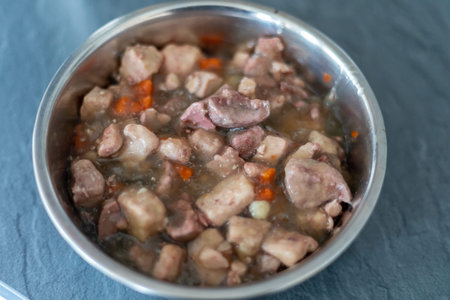 wet food for dogs and cats in silver bowl