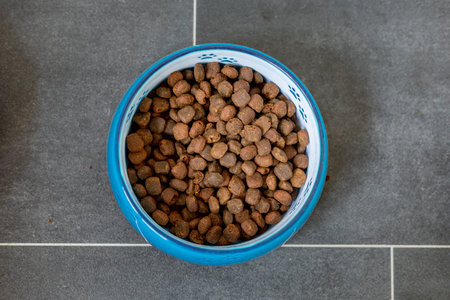 wet food for dogs and cats in silver bowl