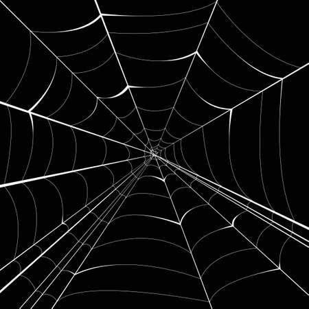 spider vector backgroundのイラスト素材