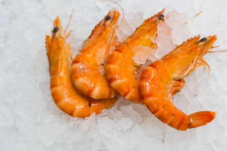 some shrimps on a white ice backgroundの写真素材