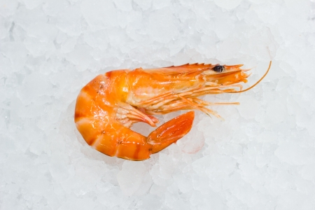 some shrimps on a white ice backgroundの写真素材