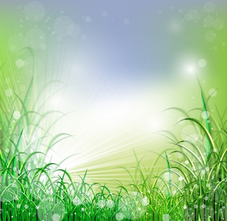 Beatiful green field with blur heaven and sunrise rayの写真素材