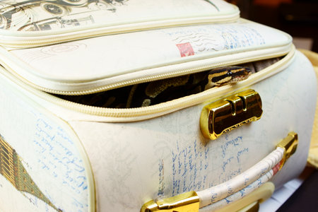 Smuggling exotic snake peeks out of suitcaseの写真素材