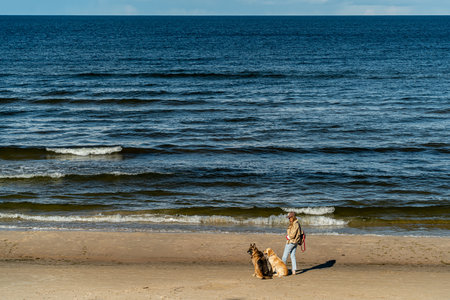 Woman walking on seaside with dogsの写真素材