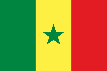 National flag of  Senegal Background  with flag of Senegalの写真素材
