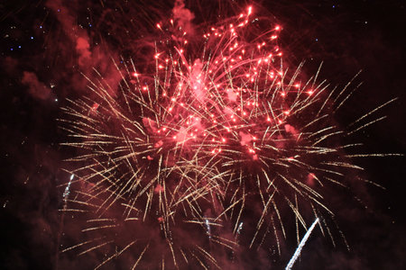 Fireworks. Firework. Fantasy of bright lilac and colorful lights in the night sky during the holiday...