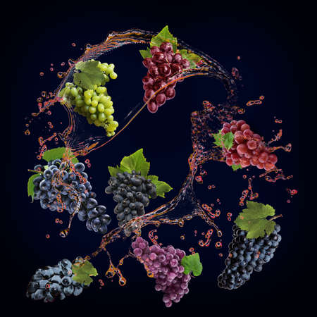Juicy tasty grapes with bursts of juice are very healthyの写真素材