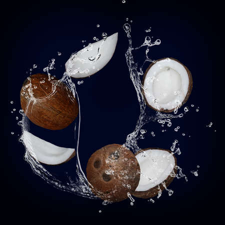 Juicy tasty coconut with splashes of juice and milk is full of vitaminsの写真素材