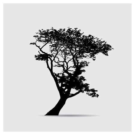 Vector tree silhouettesのイラスト素材