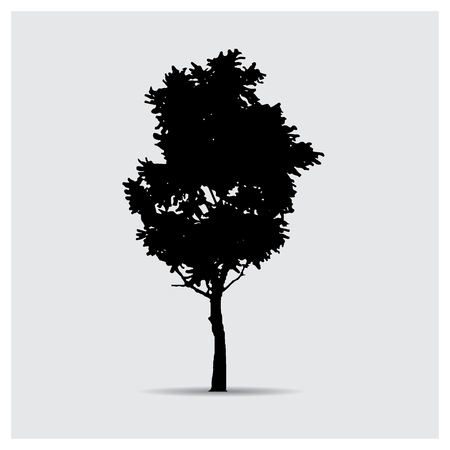 Vector tree silhouettesのイラスト素材