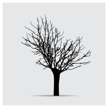Vector tree silhouettesのイラスト素材