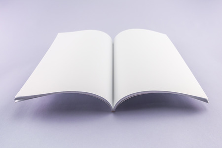 Blank catalog, magazine, book template with soft shadows. Ready for your design.の写真素材