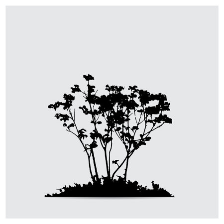 Vector tree silhouettesのイラスト素材