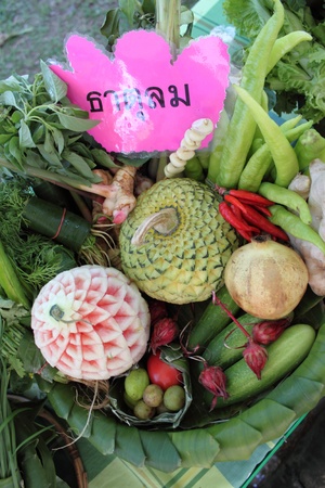 vegetableのeditorial素材