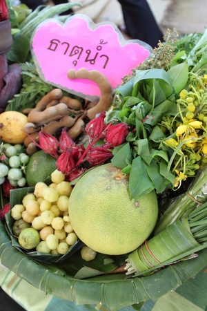 vegetableのeditorial素材