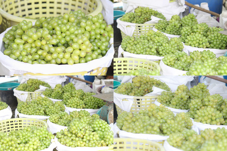 Grapesの写真素材