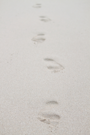 Footprints in the Sandの写真素材