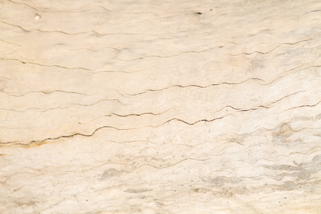 grain woodの写真素材