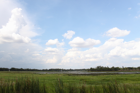 sky sky