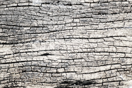 grain wood