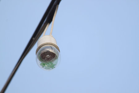 light bulbs