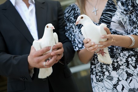 white pigeons in the hands of the girl and manの写真素材