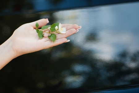 a jasmine flower in handの写真素材