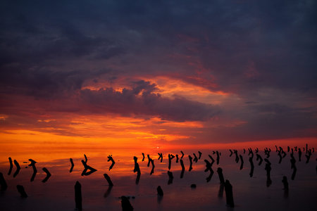 alarming sunset over the lake
