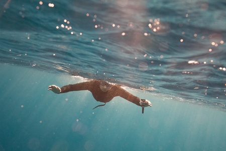 a portrait of freediver in waterの写真素材