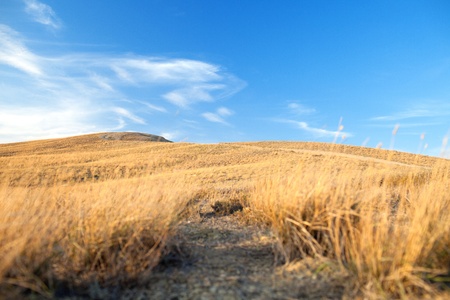 road to the high mountainの写真素材