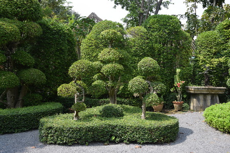 Botanical Gardens in South East Asiaの写真素材