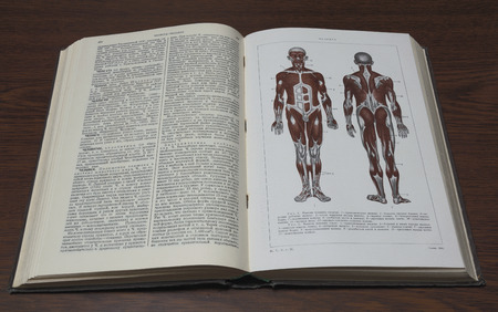 An article about the human anatomy in the Little Soviet Encyclopedia 1937 editionの写真素材